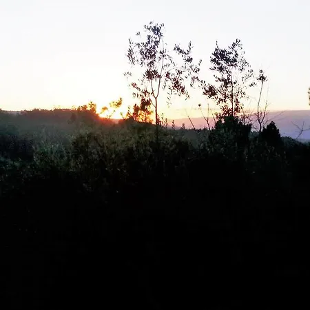 House Holiday home Oliveira de Frades