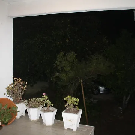 Holiday home House Oliveira de Frades