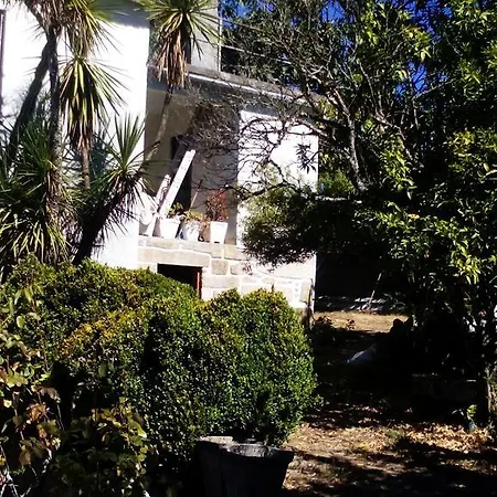 House Oliveira de Frades